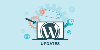 Importance Of Updating Your Website - Wordpress, Plugins, And Themes