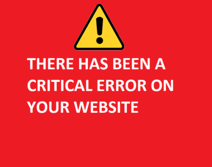 There Has Been a Critical Error on Your Website Message